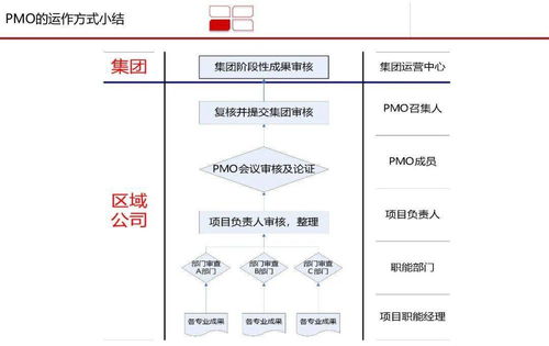 高效龍湖PMO項(xiàng)目管理體系研究 提升企業(yè)管理的核心引擎